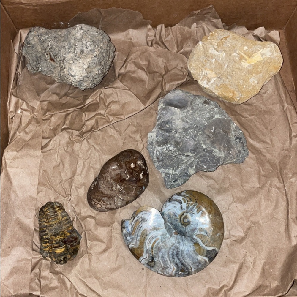 Assorted Natural Rock Collection